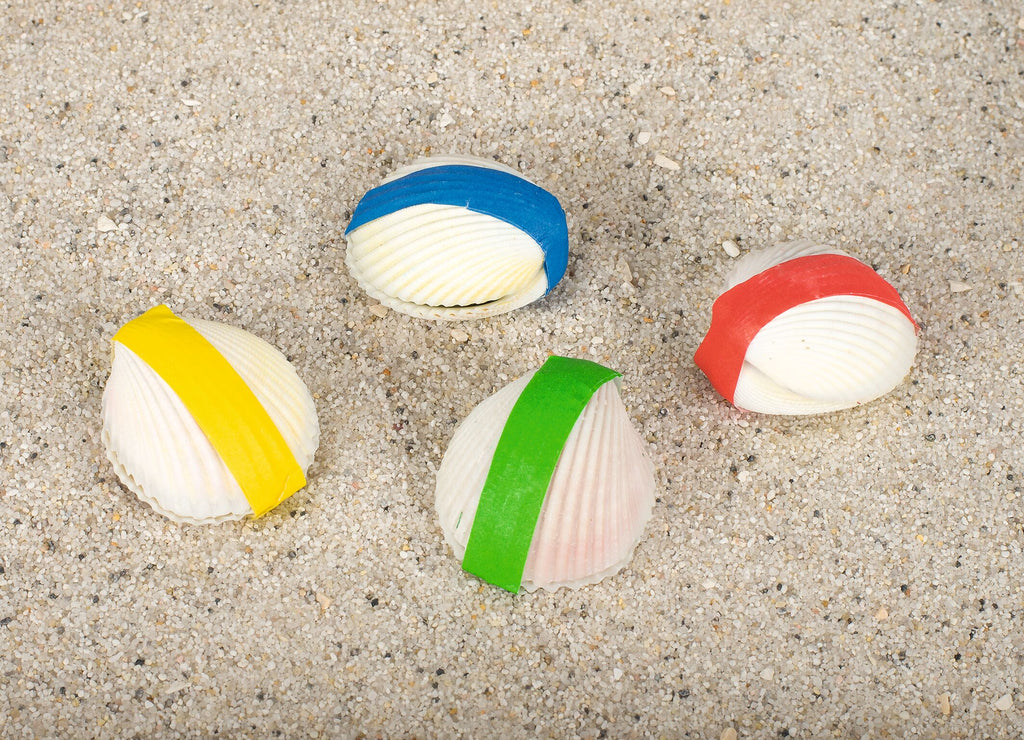 goki Wundermuschel – echte Meereskoralle für Aquarium & Deko