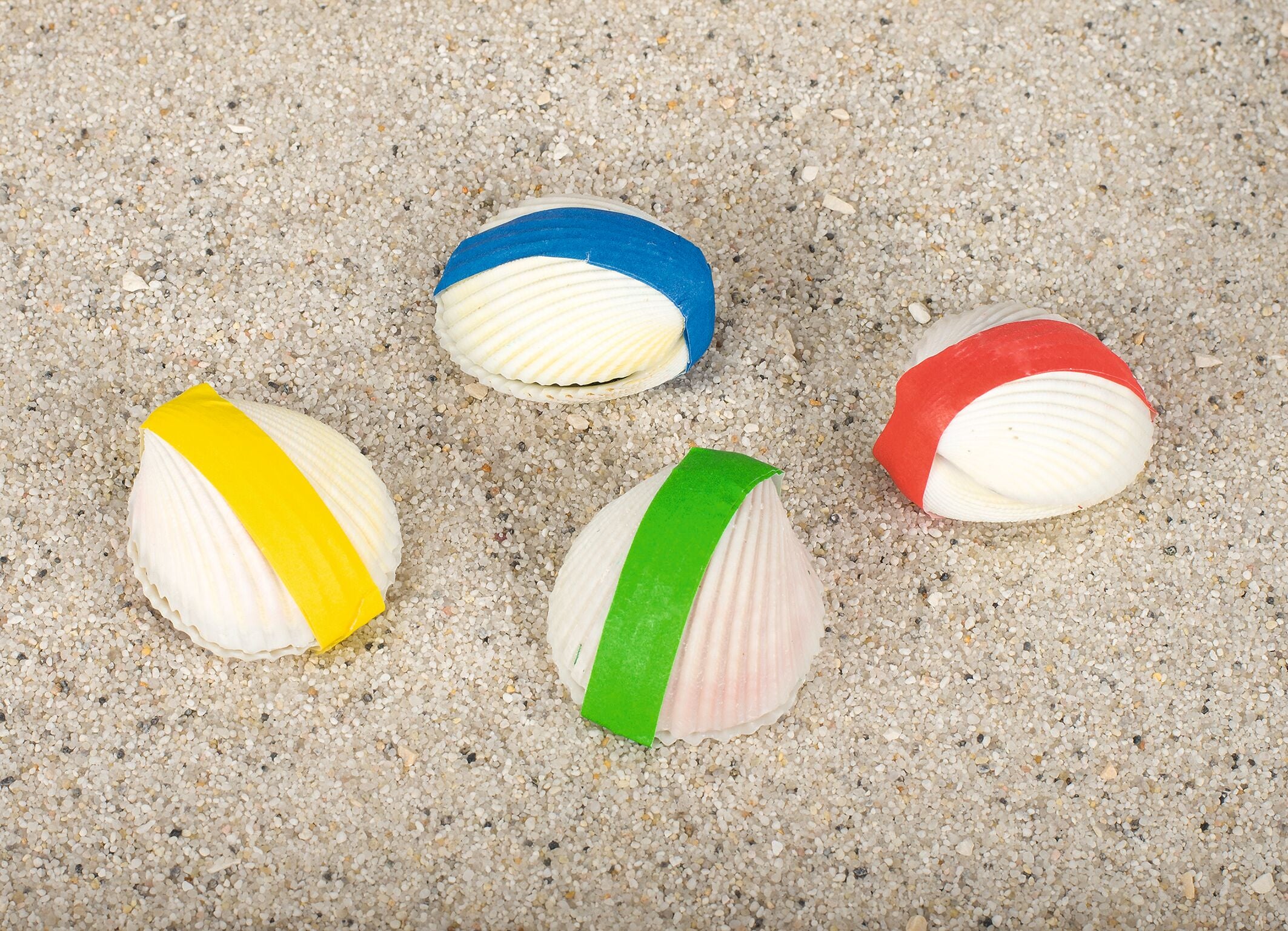 goki Wundermuschel – echte Meereskoralle für Aquarium & Deko