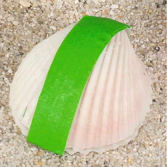 goki Wundermuschel – echte Meereskoralle für Aquarium & Deko