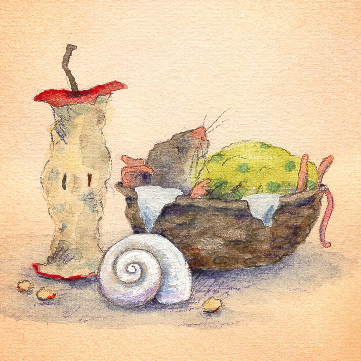 Postkartenbuch »Mäusepost«